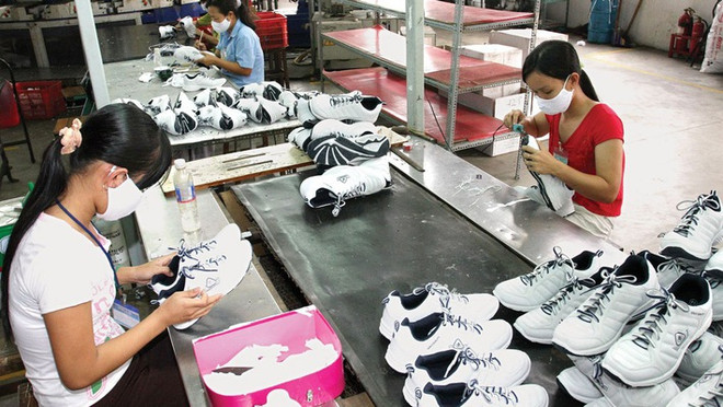 Promueven cooperación entre empresas deportivas de Vietnam y los Países Bajos ảnh 1 Promueven cooperación entre empresas deportivas de Vietnam y los Países Bajos ảnh 1