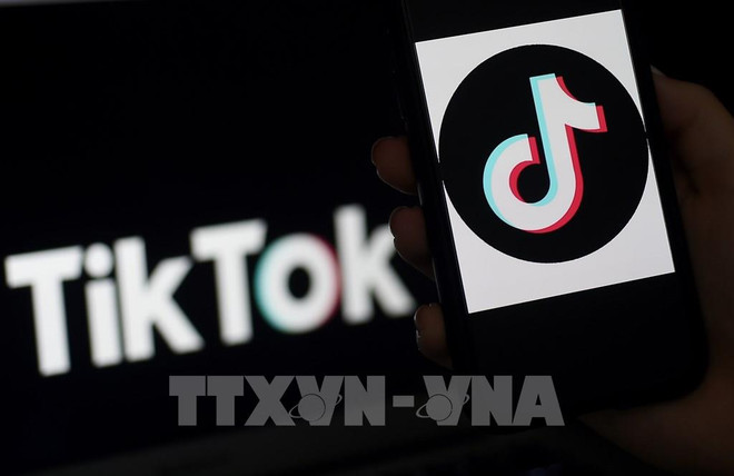 TikTok participa en digitalización de pequeñas y medianas empresas indonesias ảnh 1
