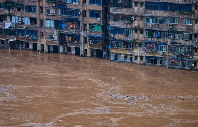 ASEAN expresa solidaridad con China ante severas inundaciones ảnh 1