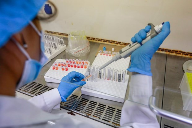  Vietnam registra fuerte disminución de casos nuevos de COVID-19 ảnh 1