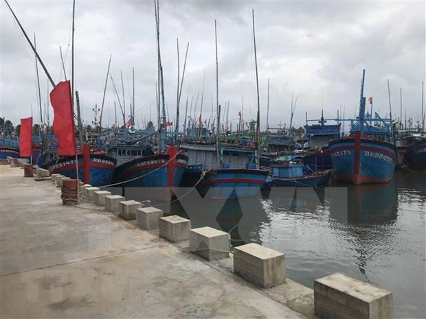 Vietnam proyecta contar con 184 puertos pesqueros para 2050 ảnh 1 Vietnam proyecta contar con 184 puertos pesqueros para 2050 ảnh 1