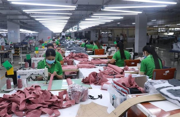 Inversión extrajera directa fluye hacia zona económica clave del sur de Vietnam ảnh 2 Inversión extrajera directa fluye hacia zona económica clave del sur de Vietnam ảnh 2