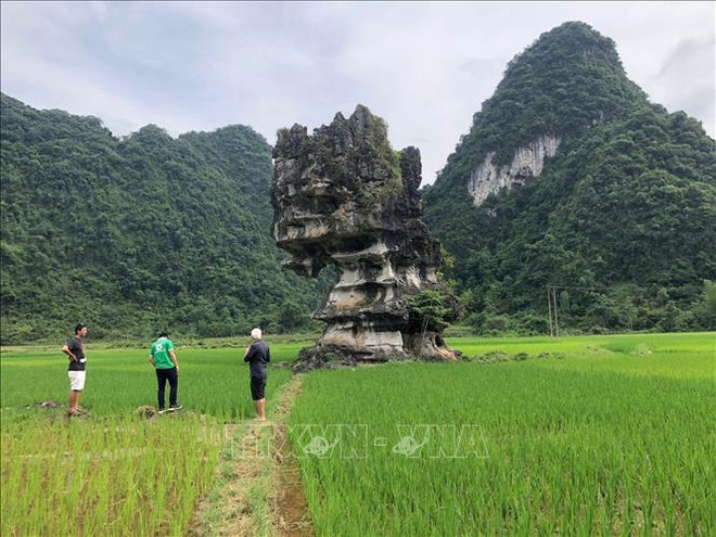 Proponen mejorar vida de pobladores en Geoparque global Non Nuoc Cao Bang de Vietnam ảnh 2