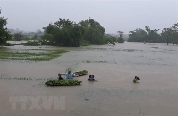 Pronostican lluvias intensas en región montañosa norteña de Vietnam ảnh 1