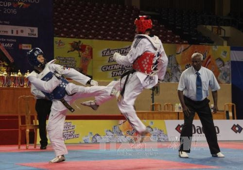 Taekwondista vietnamita gana medalla de oro en cita regional ảnh 1 Taekwondista vietnamita gana medalla de oro en cita regional ảnh 1