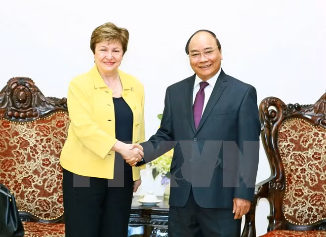 Premier destaca aporte de Banco Mundial a desarrollo de Vietnam ảnh 1