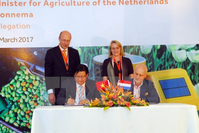 Países Bajos comparte experiencias sobre agricultura sustentable en Vietnam ảnh 1