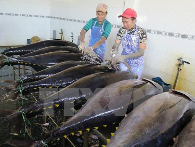 Provincia vietnamita impulsa desarrollo sostenible del sector acuático ảnh 1