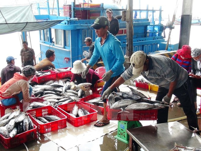 Vietnam continúa proceso de compensación a afectados por incidente ambiental ảnh 1 Vietnam continúa proceso de compensación a afectados por incidente ambiental ảnh 1