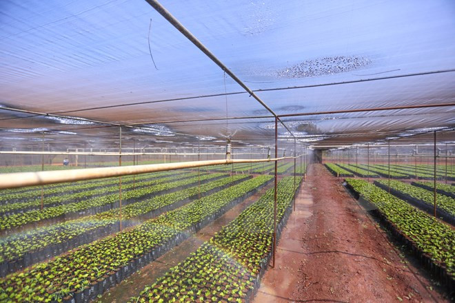 Invertirán cerca de cuatro mil millones de dólares en región altiplánica de Vietnam ảnh 1 Invertirán cerca de cuatro mil millones de dólares en región altiplánica de Vietnam ảnh 1