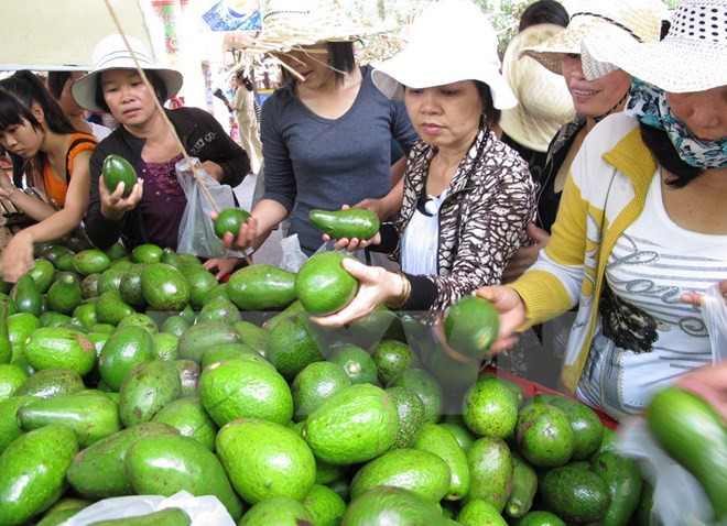 Seminario aborda maneras de construir marcas comerciales para productos agrícolas vi ảnh 1 Seminario aborda maneras de construir marcas comerciales para productos agrícolas vi ảnh 1