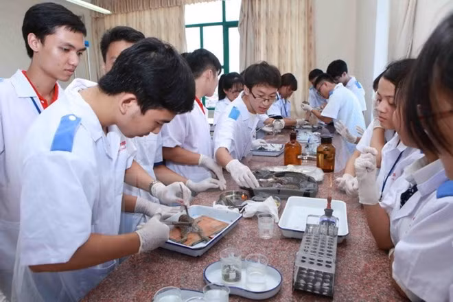Vietnam convoca semana para estimular el estudio académico ảnh 1