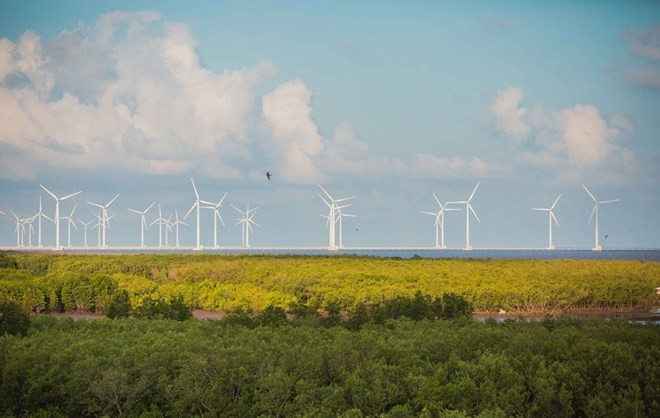 Indonesia dispone de grandes potencialidades para desarrollo de energías renovables ảnh 1