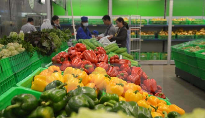 Vietnam ingresa monto multimillonario por ventas de verduras y frutas ảnh 1 Vietnam ingresa monto multimillonario por ventas de verduras y frutas ảnh 1