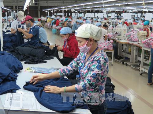 Provincia vietnamita registra duplicación de capital social de nuevas empresas ảnh 1 Provincia vietnamita registra duplicación de capital social de nuevas empresas ảnh 1