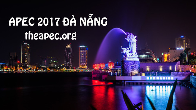 Da Nang garatiza seguridad vial durante la Cumbre de APEC ảnh 1 Da Nang garatiza seguridad vial durante la Cumbre de APEC ảnh 1
