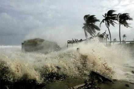 Expertos alemanes comparten informaciones sobre cambio climático en Vietnam ảnh 1