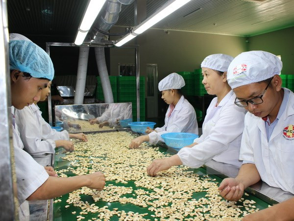 Vietnam goza de superávit comercial en septiembre ảnh 1