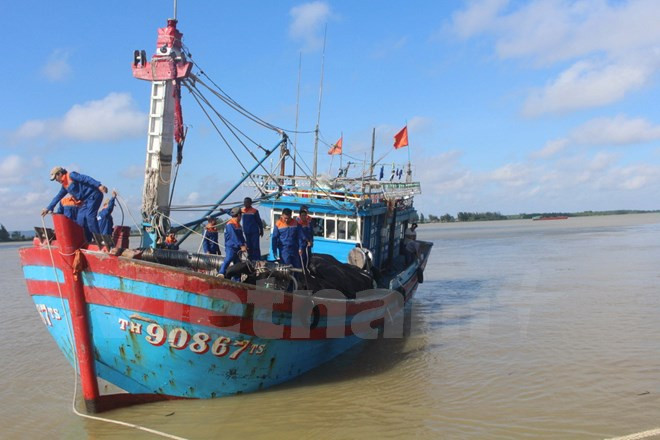 Quang Nam realiza esfuerzos para respaldar la pesca en alta mar ảnh 1 Quang Nam realiza esfuerzos para respaldar la pesca en alta mar ảnh 1