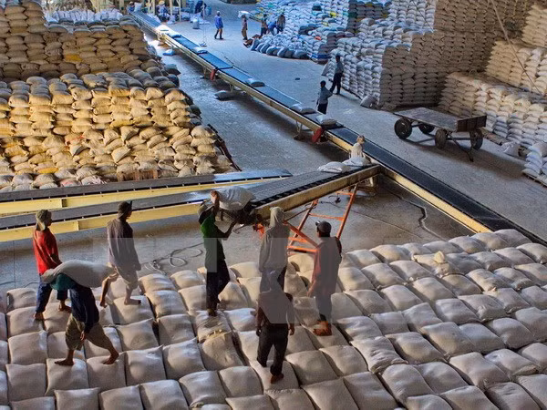 Can Tho enviará primer lote de arroz a Irán ảnh 1