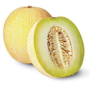 Cultivo de melón de alta tecnología eleva ingresos de agricultores vietnamitas ảnh 1 Cultivo de melón de alta tecnología eleva ingresos de agricultores vietnamitas ảnh 1