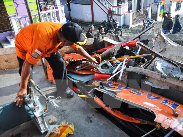 Confirman muerte de cinco personas en accidente aéreo en el este de Indonesia ảnh 1 Confirman muerte de cinco personas en accidente aéreo en el este de Indonesia ảnh 1