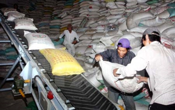Filipinas realizará licitación para comprar 250 mil toneladas de arroz ảnh 1 Filipinas realizará licitación para comprar 250 mil toneladas de arroz ảnh 1