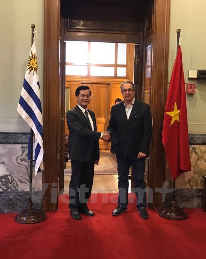 Vietnam y Uruguay fortalecen nexos políticos ảnh 1 Vietnam y Uruguay fortalecen nexos políticos ảnh 1