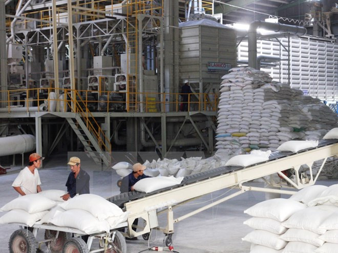 Tailandia despliega programa millonario de aseguramiento del sector arrocero ảnh 1 Tailandia despliega programa millonario de aseguramiento del sector arrocero ảnh 1