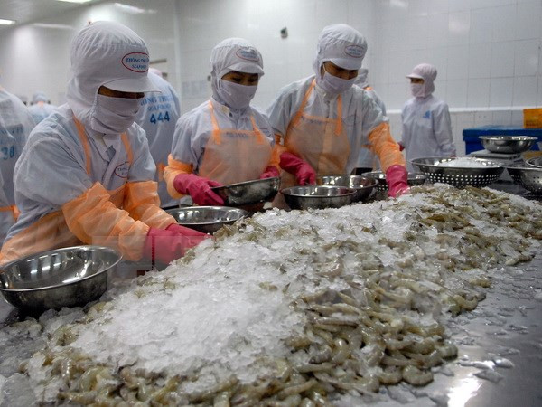 Vietnam aumenta exportación de camarones ảnh 1 Vietnam aumenta exportación de camarones ảnh 1