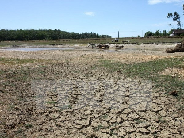 Delta del Mekong enfrenta graves impactos del cambio climático ảnh 1 Delta del Mekong enfrenta graves impactos del cambio climático ảnh 1