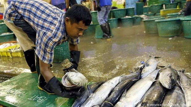 Trabajadores migrantes en Tailandia reciben ayuda pandémica de las empresas ảnh 1