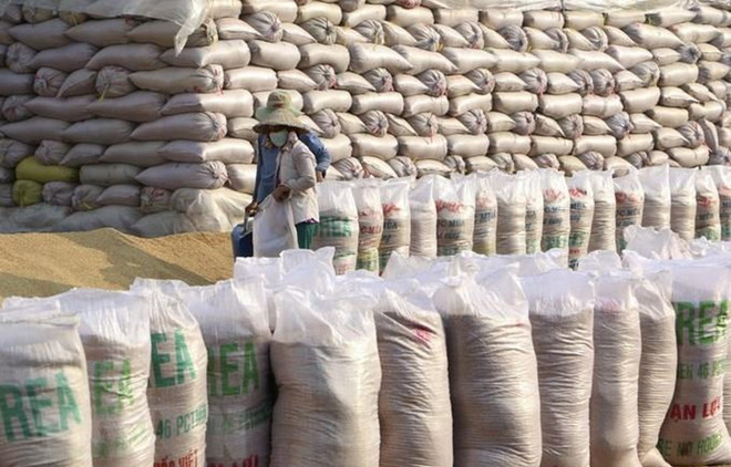 Exportación de arroz de Vietnam a Filipinas supera los mil millones de dólares ảnh 1 Exportación de arroz de Vietnam a Filipinas supera los mil millones de dólares ảnh 1