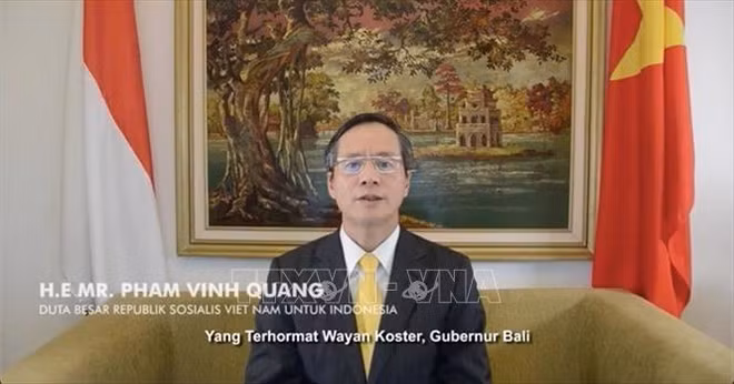 Promueven nexos de amistad entre Vietnam e Indonesia ảnh 1