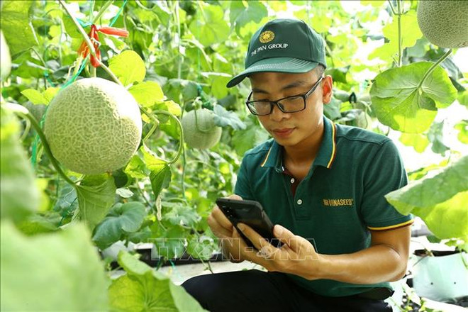 Vietnam busca aumentar productividad laboral en más de 7,5 por ciento para 2030 ảnh 1 Vietnam busca aumentar productividad laboral en más de 7,5 por ciento para 2030 ảnh 1