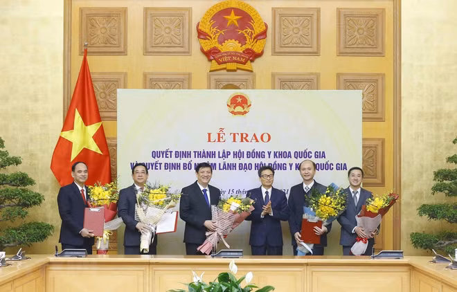 Establecen Consejo Médico Nacional de Vietnam ảnh 1