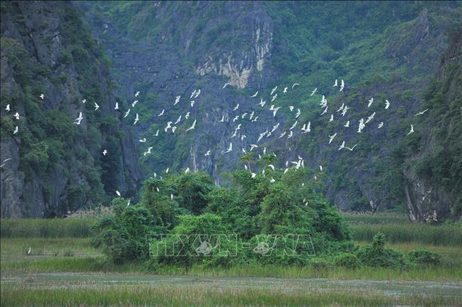 Vietnam intensifica conservación y uso sostenible de humedales ảnh 1 Vietnam intensifica conservación y uso sostenible de humedales ảnh 1