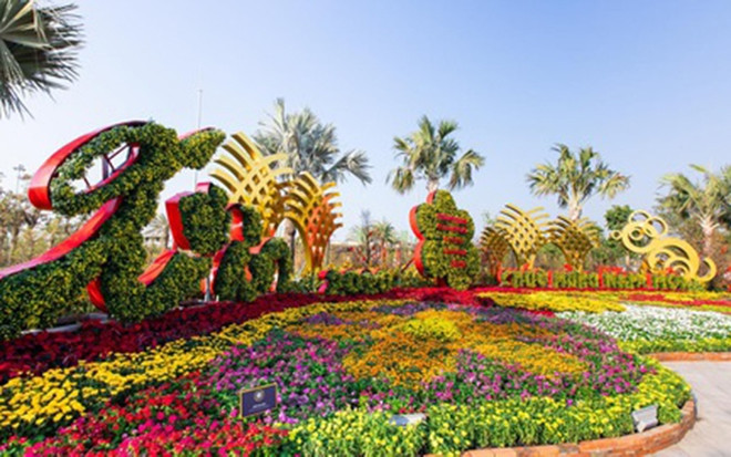 Mercado de Flores Primaverales del Tet embellecerá Ciudad Ho Chi Minh ảnh 1 Mercado de Flores Primaverales del Tet embellecerá Ciudad Ho Chi Minh ảnh 1