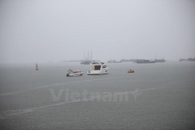 Desarrolla provincia vietnamita astilleros para la pesca en alta mar ảnh 1 Desarrolla provincia vietnamita astilleros para la pesca en alta mar ảnh 1