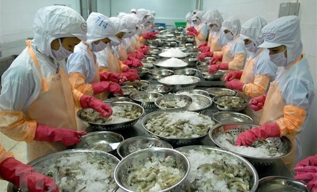 Vietnam promueve exportaciones pesqueras a la Unión Europea ảnh 1