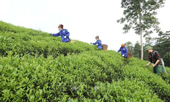 Banco Mundial destaca logros de Vietnam en reducción de pobreza ảnh 1 Banco Mundial destaca logros de Vietnam en reducción de pobreza ảnh 1