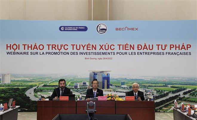 Estimulan inversión francesa en provincia vietnamita ảnh 2 Estimulan inversión francesa en provincia vietnamita ảnh 2