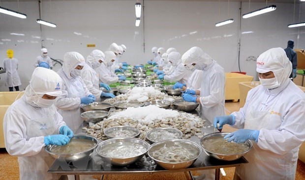 Ca Mau de Vietnam proyecta ingreso multimillonario por exportaciones ảnh 1 Ca Mau de Vietnam proyecta ingreso multimillonario por exportaciones ảnh 1