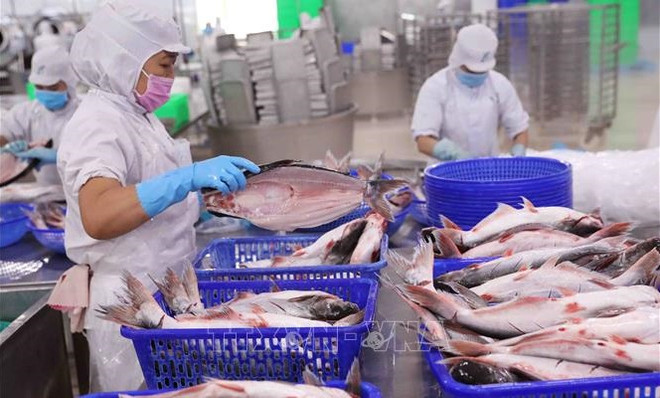 Disminuyen exportaciones de productos acuáticos de Vietnam ảnh 1 Disminuyen exportaciones de productos acuáticos de Vietnam ảnh 1
