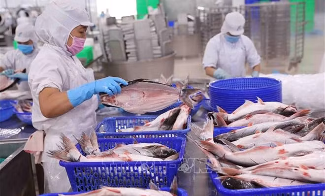 Disminuyen exportaciones de productos acuáticos de Vietnam ảnh 1
