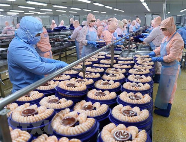 Disminuyen exportaciones de productos acuáticos de Vietnam ảnh 2 Disminuyen exportaciones de productos acuáticos de Vietnam ảnh 2