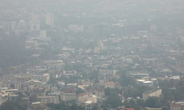 Tailandia: Chiang Mai sufre grave contaminación por polvo fino ảnh 1 Tailandia: Chiang Mai sufre grave contaminación por polvo fino ảnh 1