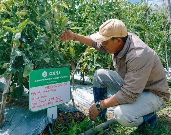 VinaCapital Ventures invierte un millón de dólares en startup de agrotecnología ảnh 1 VinaCapital Ventures invierte un millón de dólares en startup de agrotecnología ảnh 1