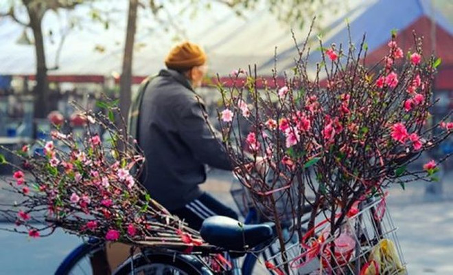 Severas olas de frío golpearán zona norteña montañosa de Vietnam a finales de este mes ảnh 1 Severas olas de frío golpearán zona norteña montañosa de Vietnam a finales de este mes ảnh 1