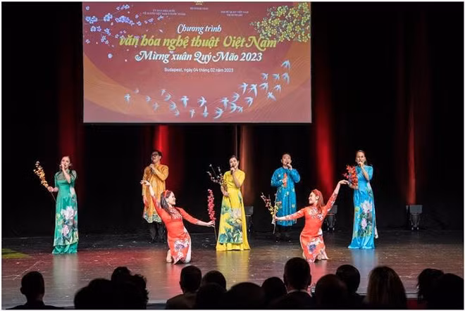 Vietnamitas en Hungría celebran programa artístico ảnh 1